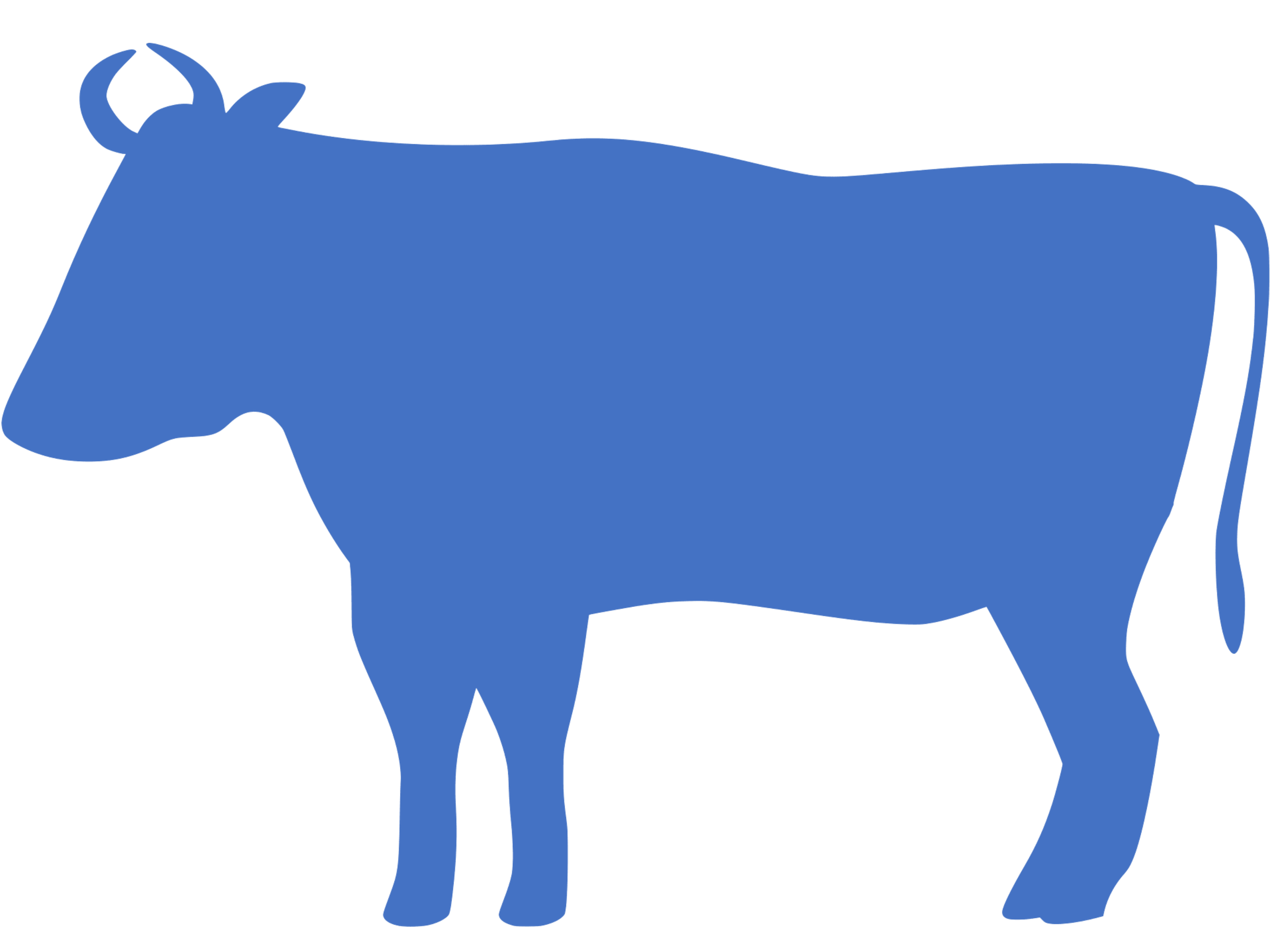 bull