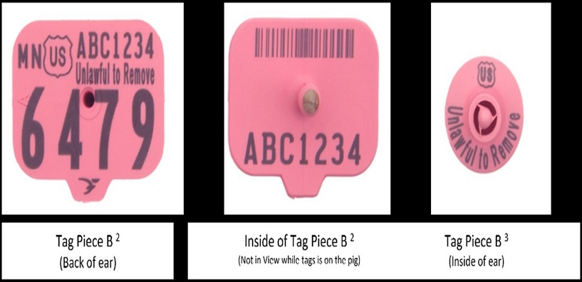 ear tagger for metal scrapie tags